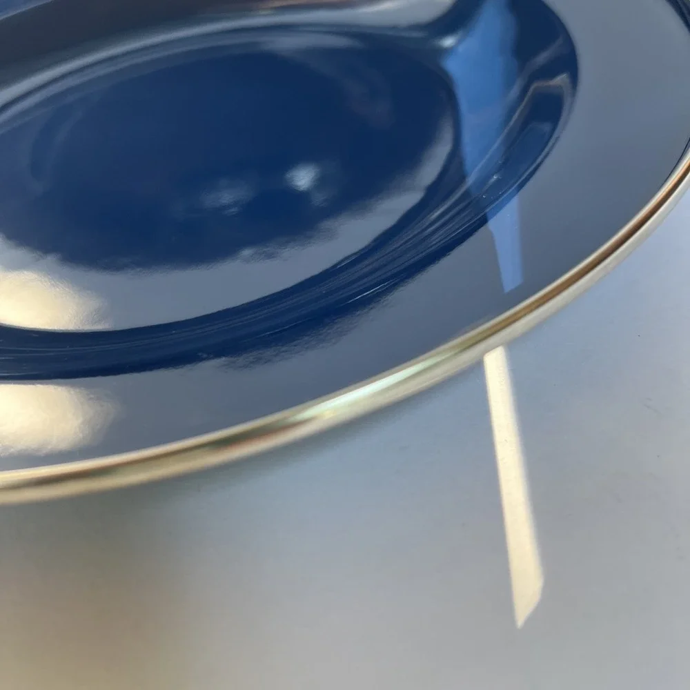 Discontinued Pottery Barn Enamelware Plate Blue 10